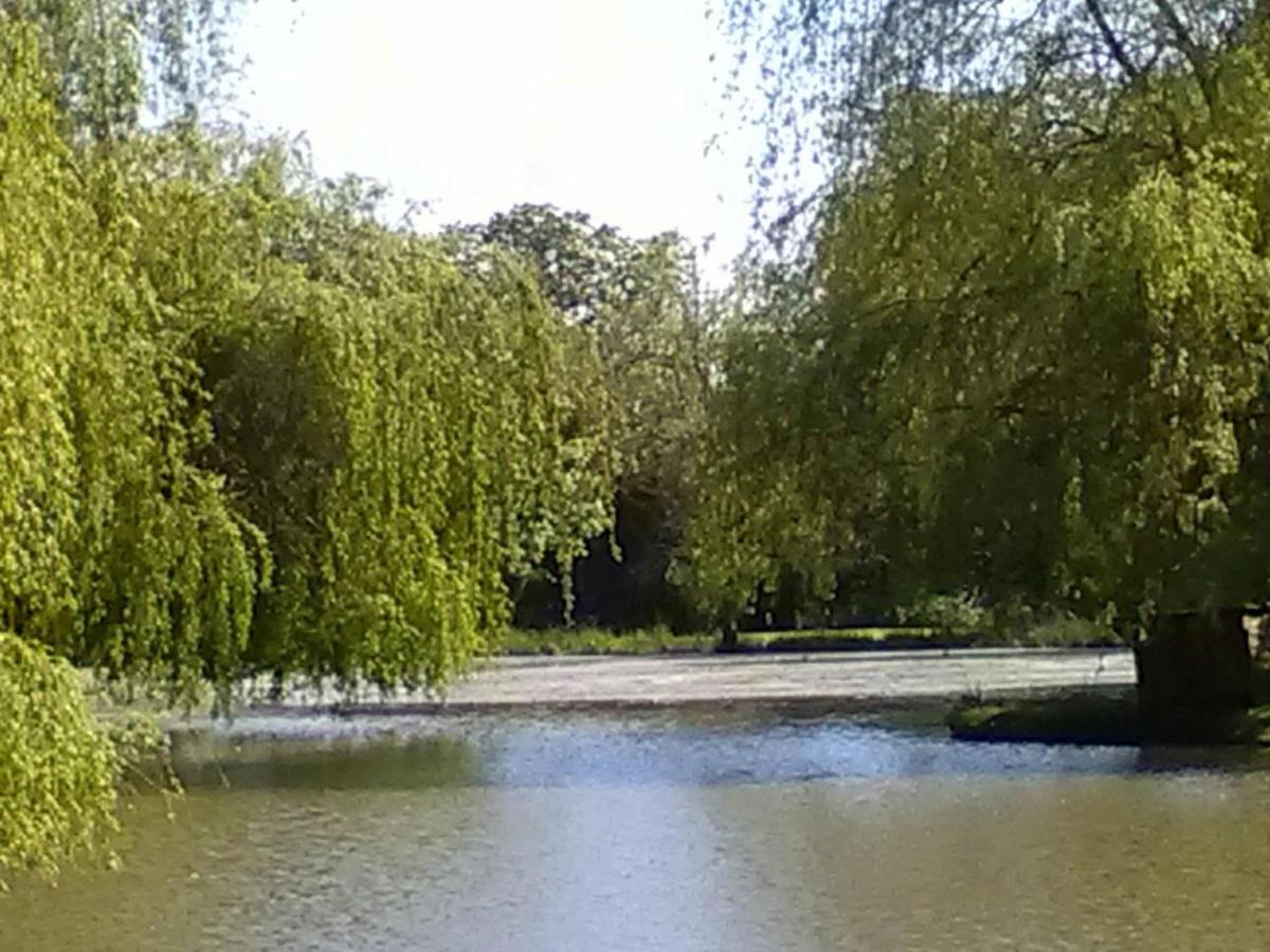 La Lune Lake Joue-en-Charnie Exteriör bild